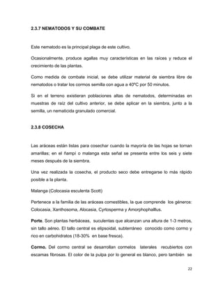 C:\fakepath\proyecto final de estadistica