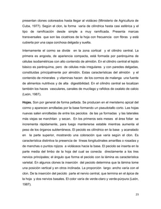 C:\fakepath\proyecto final de estadistica