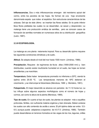 C:\fakepath\proyecto final de estadistica