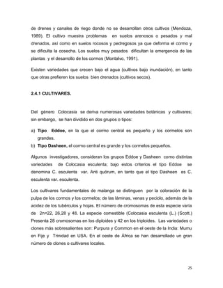 C:\fakepath\proyecto final de estadistica