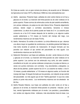 C:\fakepath\proyecto final de estadistica