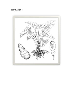 C:\fakepath\proyecto final de estadistica