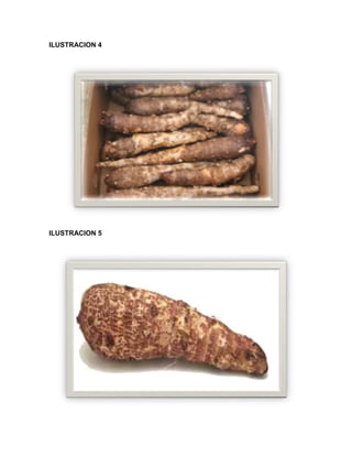 C:\fakepath\proyecto final de estadistica