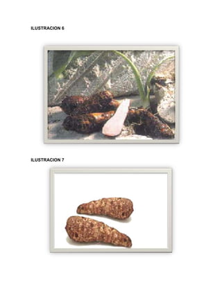 C:\fakepath\proyecto final de estadistica