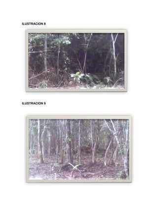 C:\fakepath\proyecto final de estadistica