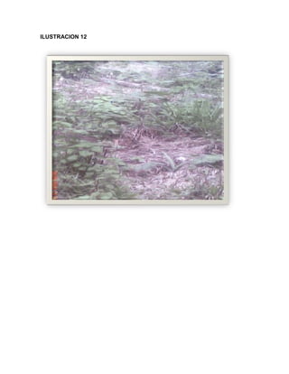 C:\fakepath\proyecto final de estadistica