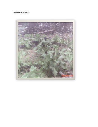 C:\fakepath\proyecto final de estadistica