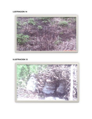 C:\fakepath\proyecto final de estadistica