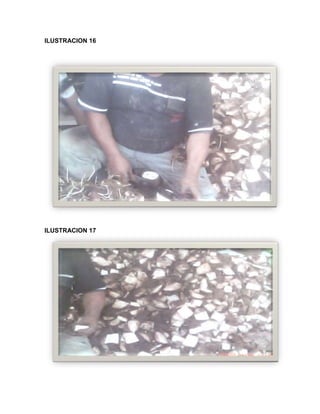 C:\fakepath\proyecto final de estadistica