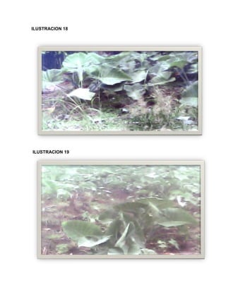 C:\fakepath\proyecto final de estadistica