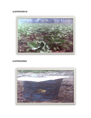 C:\fakepath\proyecto final de estadistica