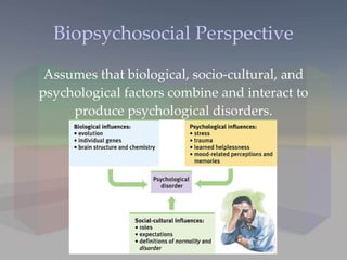 Biopsychosocial Perspective Assumes that biological, socio-cultural, and psychological factors combine and interact to produce psychological disorders. 
