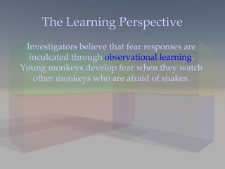 The Learning Perspective Investigators believe that fear responses are inculcated through  observational learning . Young monkeys develop fear when they watch other monkeys who are afraid of snakes. 
