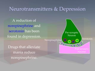 Neurotransmitters & Depression Post-synaptic Neuron Pre-synaptic Neuron Norepinephrine Serotonin A reduction of  norepinephrine  and  serotonin  has been found in depression. Drugs that alleviate mania reduce norepinephrine. 