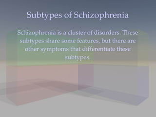 Subtypes of Schizophrenia Schizophrenia is a cluster of disorders. These subtypes share some features, but there are other symptoms that differentiate these subtypes. 
