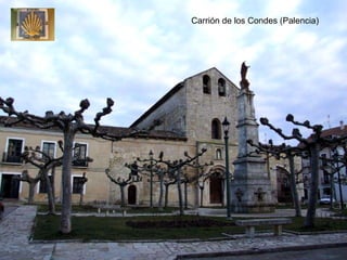 Carrión de los Condes (Palencia) 