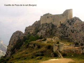Castillo de Poza de la sal (Burgos) 
