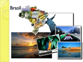 Brasil




         60
 