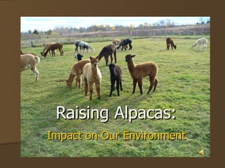 Raising Alpacas: Impact on Our Environment Test 