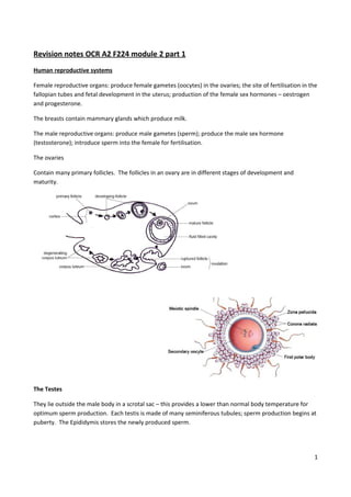 Revision notes OCR A2 F224 module 2 part 1
Human reproductive systems

Female reproductive organs: produce female gametes (oocytes) in the ovaries; the site of fertilisation in the
fallopian tubes and fetal development in the uterus; production of the female sex hormones – oestrogen
and progesterone.

The breasts contain mammary glands which produce milk.

The male reproductive organs: produce male gametes (sperm); produce the male sex hormone
(testosterone); introduce sperm into the female for fertilisation.

The ovaries

Contain many primary follicles. The follicles in an ovary are in different stages of development and
maturity.




The Testes

They lie outside the male body in a scrotal sac – this provides a lower than normal body temperature for
optimum sperm production. Each testis is made of many seminiferous tubules; sperm production begins at
puberty. The Epididymis stores the newly produced sperm.




                                                                                                           1
 