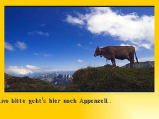 ‏… wo bitte geht’s hier nach Appenzell …‏ 