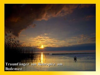 Traumfänger am Rohrspitz am Bodensee 