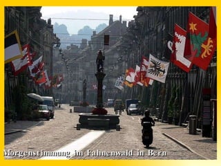 Morgenstimmung im Fahnenwald in Bern 