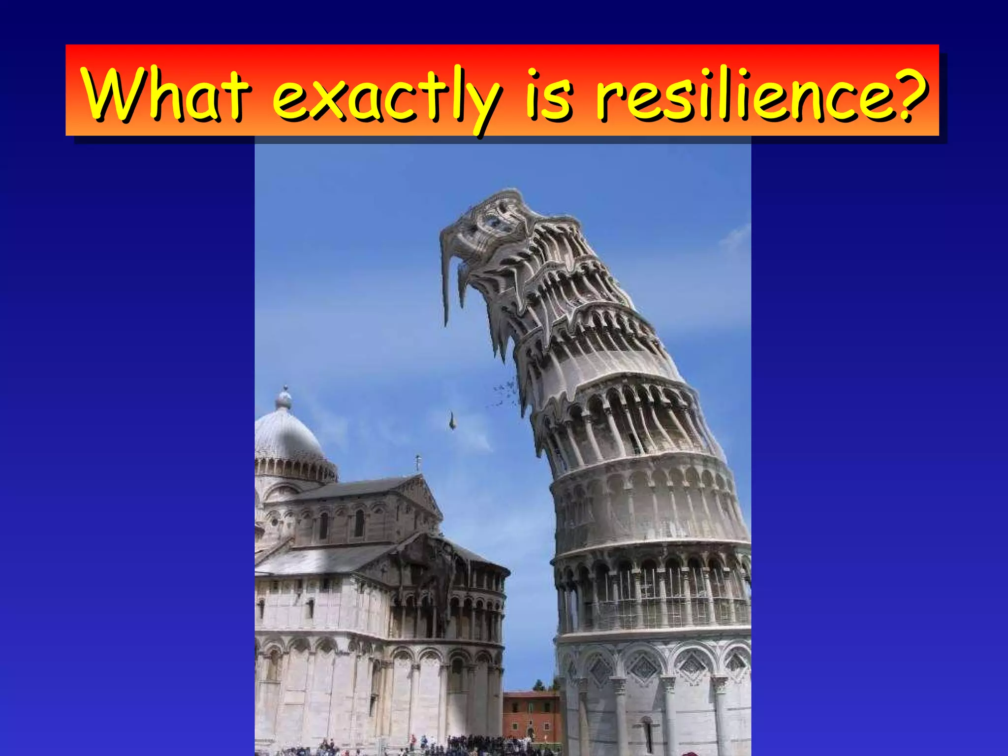 What exactly is resilience? 