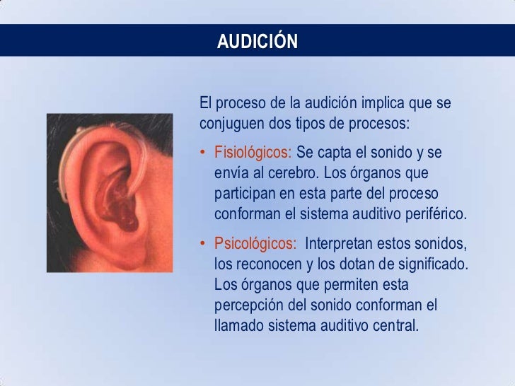 Percepción Auditiva