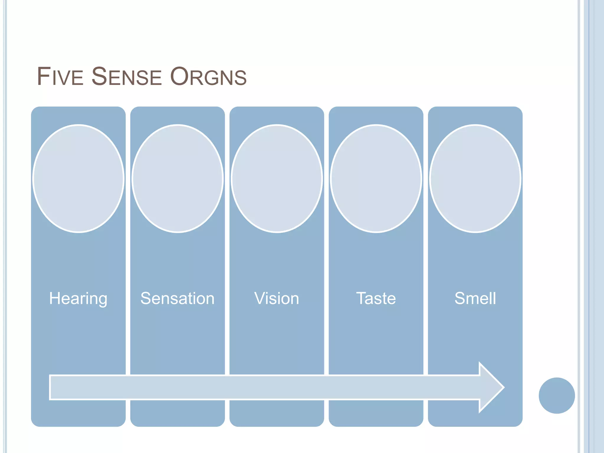 FIVE SENSE ORGNS

Hearing

Sensation

Vision

Taste

Smell

 