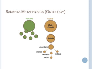 SANKHYA METAPHYSICS (ONTOLOGY)

 