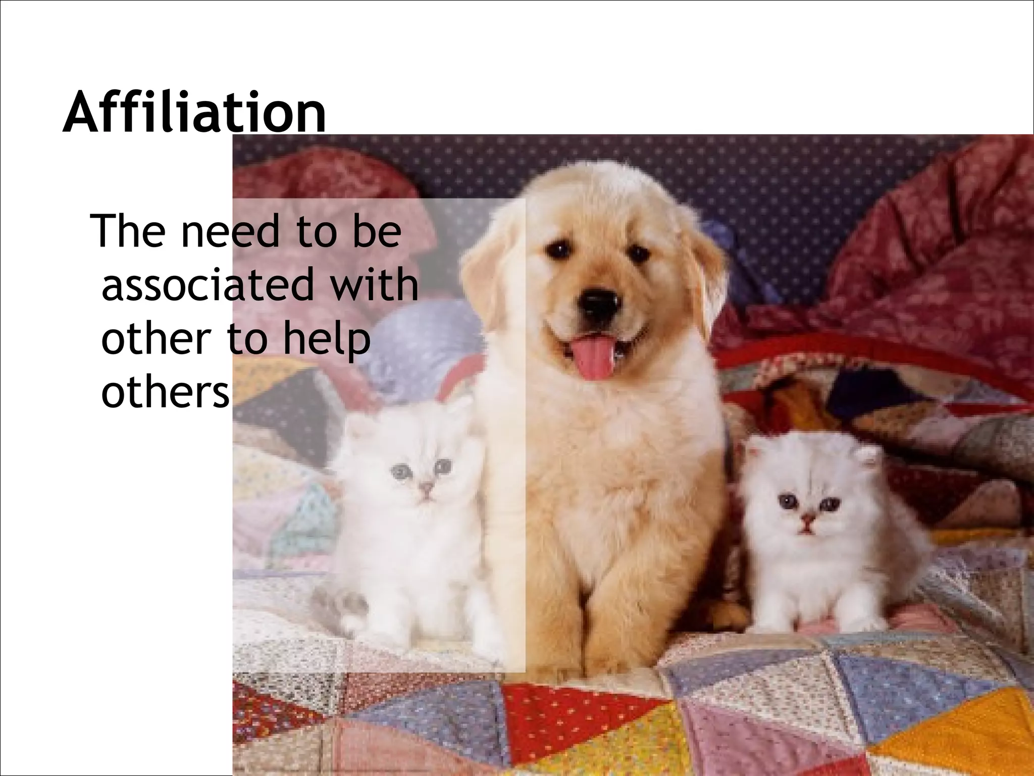 Affiliation

 The need to be
 associated with
 other to help
 others
 