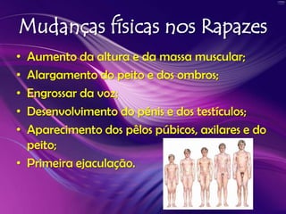 Mudanças físicas nos RapazesAumento da altura e da massa muscular;Alargamento do peito e dos ombros;Engrossar da voz;Desenvolvimento do pénis e dos testículos;Aparecimento dos pêlos púbicos, axilares e do peito;Primeira ejaculação.