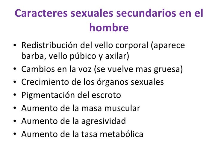 Power Sexualidad Etapas