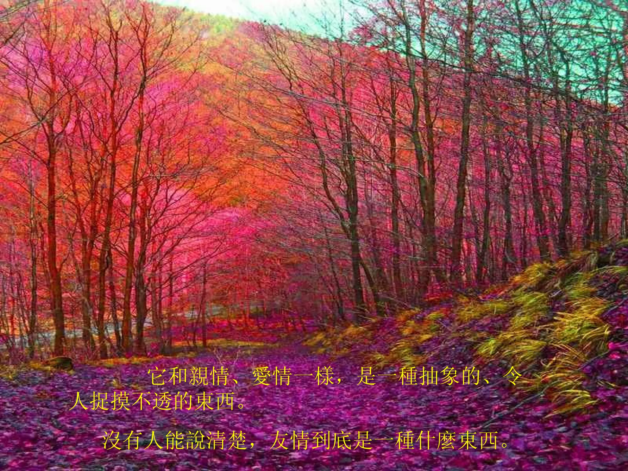         它和親情、愛情一樣，是一種抽象的、令人捉摸不透的東西。  沒有人能說清楚，友情到底是一種什麼東西。  