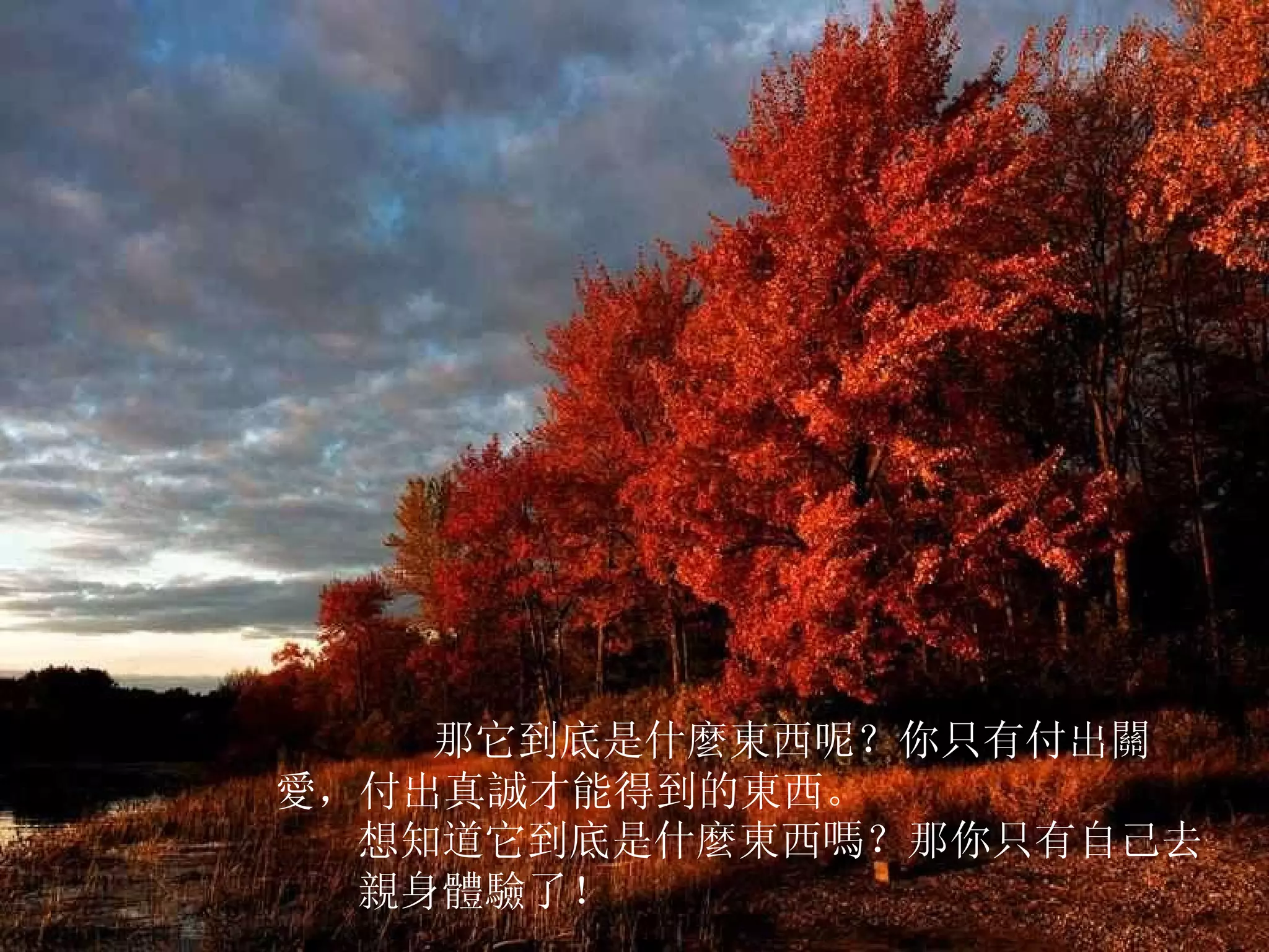         那它到底是什麼東西呢？你只有付出關愛，付出真誠才能得到的東西。  想知道它到底是什麼東西嗎？那你只有自己去親身體驗了！  