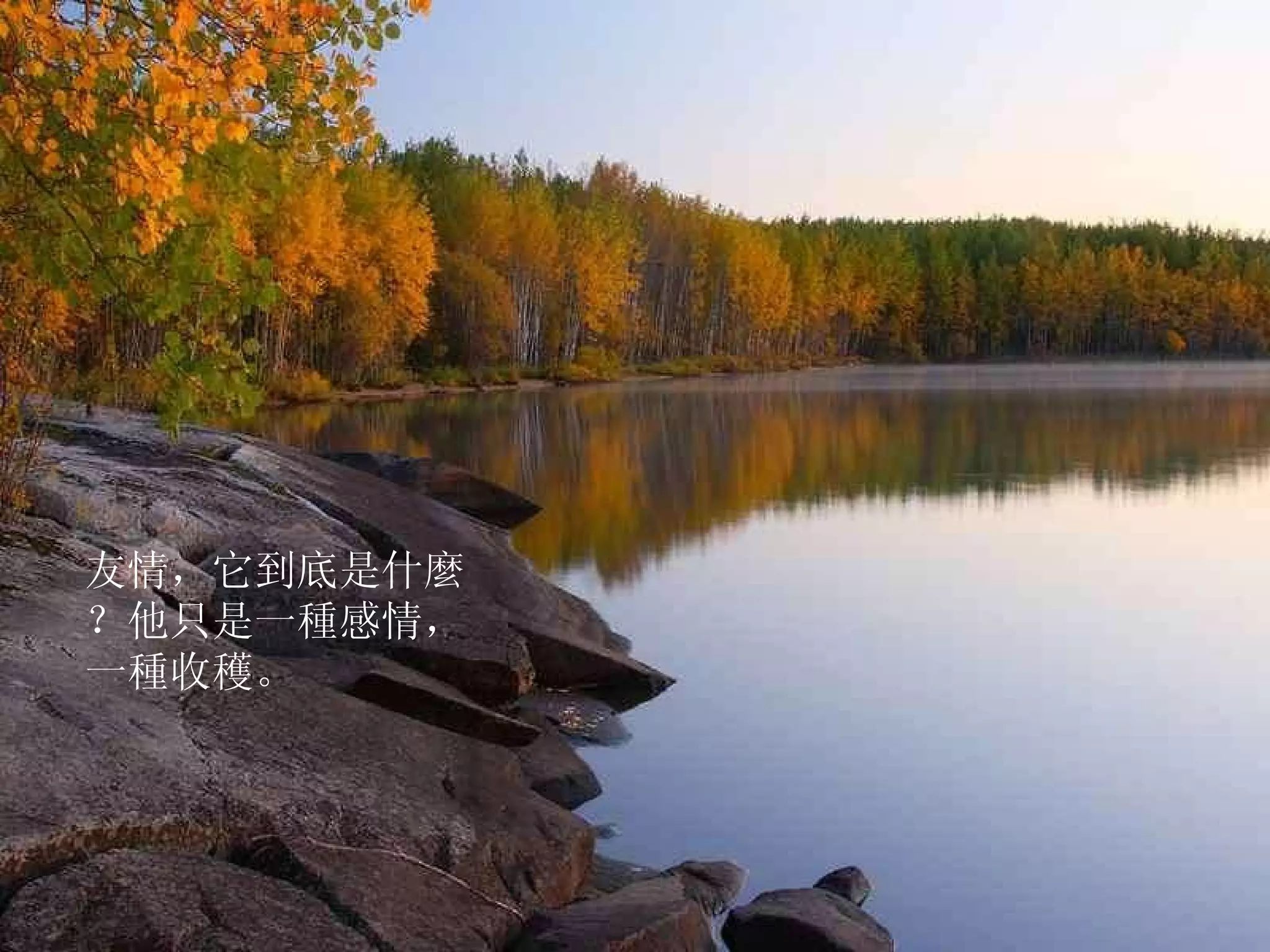 友情，它到底是什麼？他只是一種感情，一種收穫。  