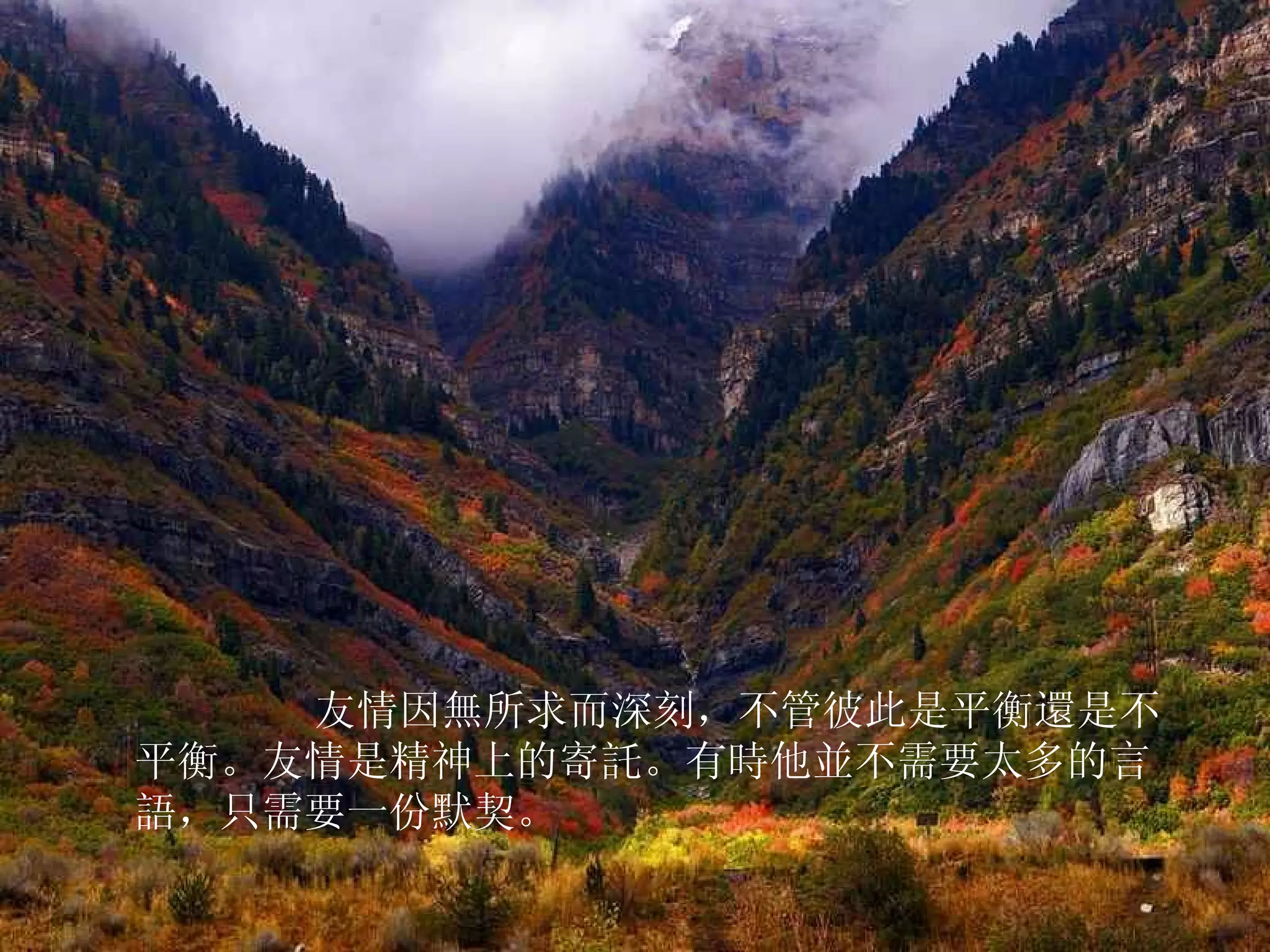          友情因無所求而深刻，不管彼此是平衡還是不平衡。友情是精神上的寄託。有時他並不需要太多的言語，只需要一份默契。  