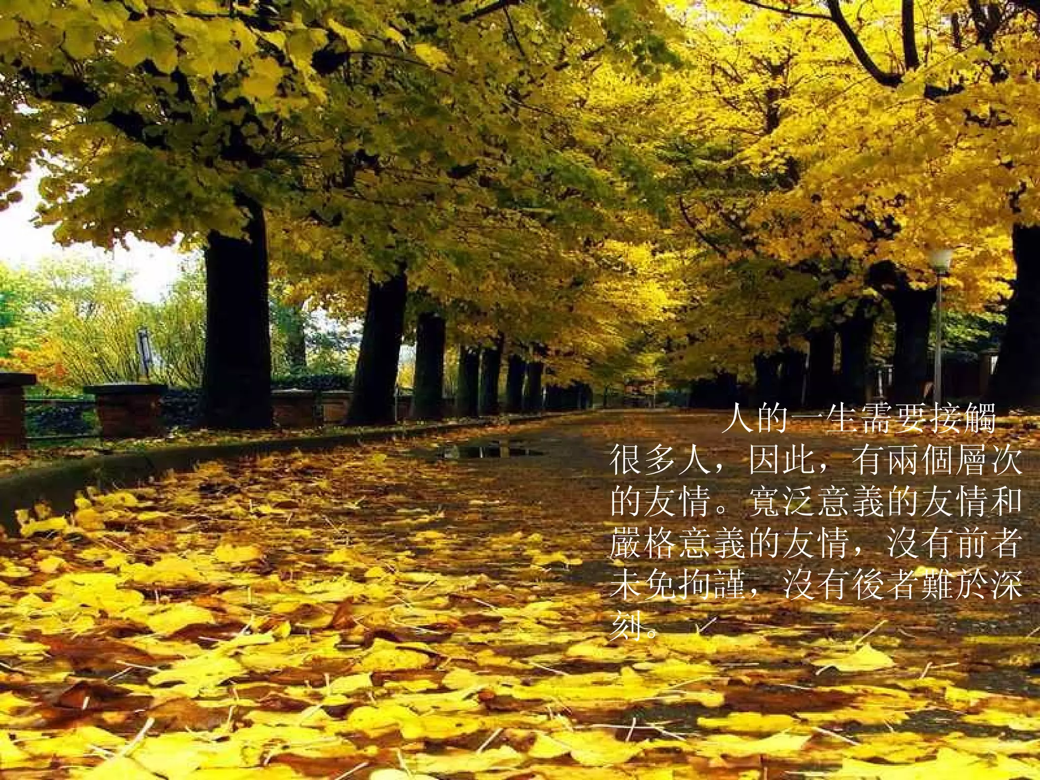        人的一生需要接觸很多人，因此，有兩個層次的友情。寬泛意義的友情和嚴格意義的友情，沒有前者未免拘謹，沒有後者難於深刻。 