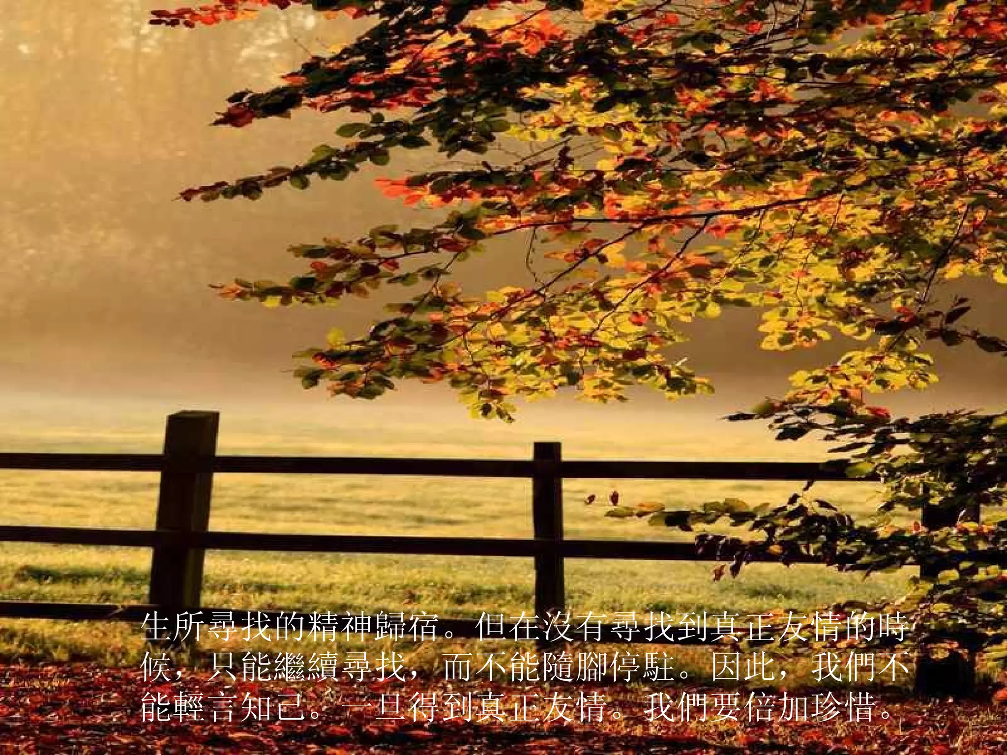 生所尋找的精神歸宿。但在沒有尋找到真正友情的時候，只能繼續尋找，而不能隨腳停駐。因此，我們不能輕言知己。一旦得到真正友情。我們要倍加珍惜。  