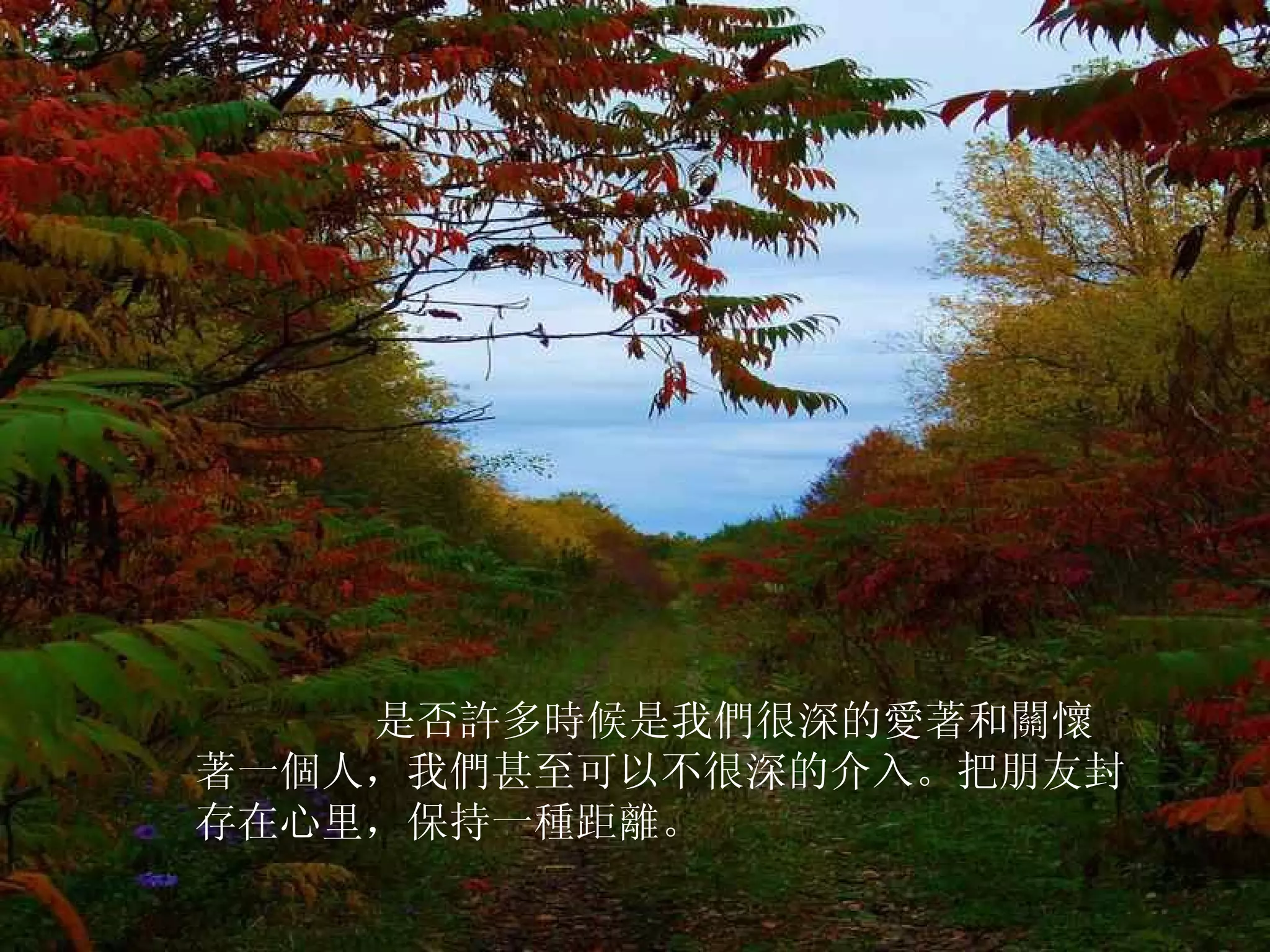          是否許多時候是我們很深的愛著和關懷著一個人，我們甚至可以不很深的介入。把朋友封存在心里，保持一種距離。  