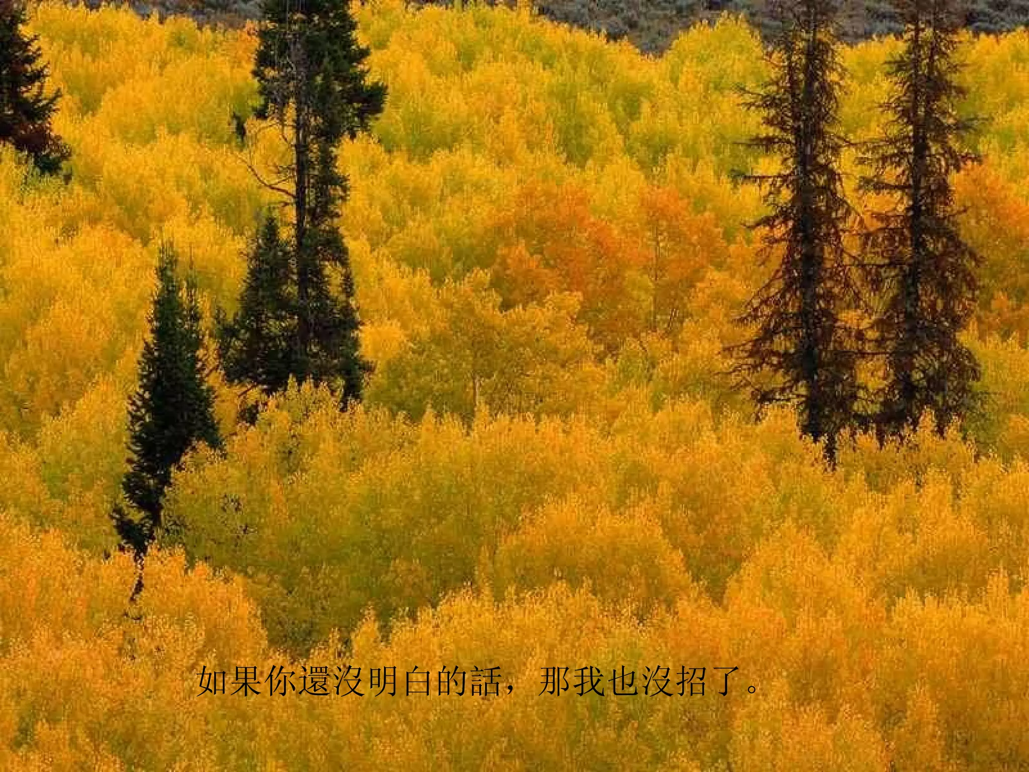    如果你還沒明白的話，那我也沒招了。  