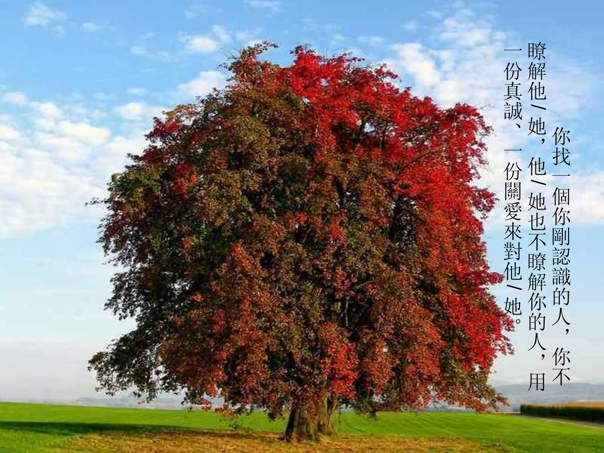          你找一個你剛認識的人，你不瞭解他 / 她，他 / 她也不瞭解你的人，用一份真誠、一份關愛來對他 / 她。  