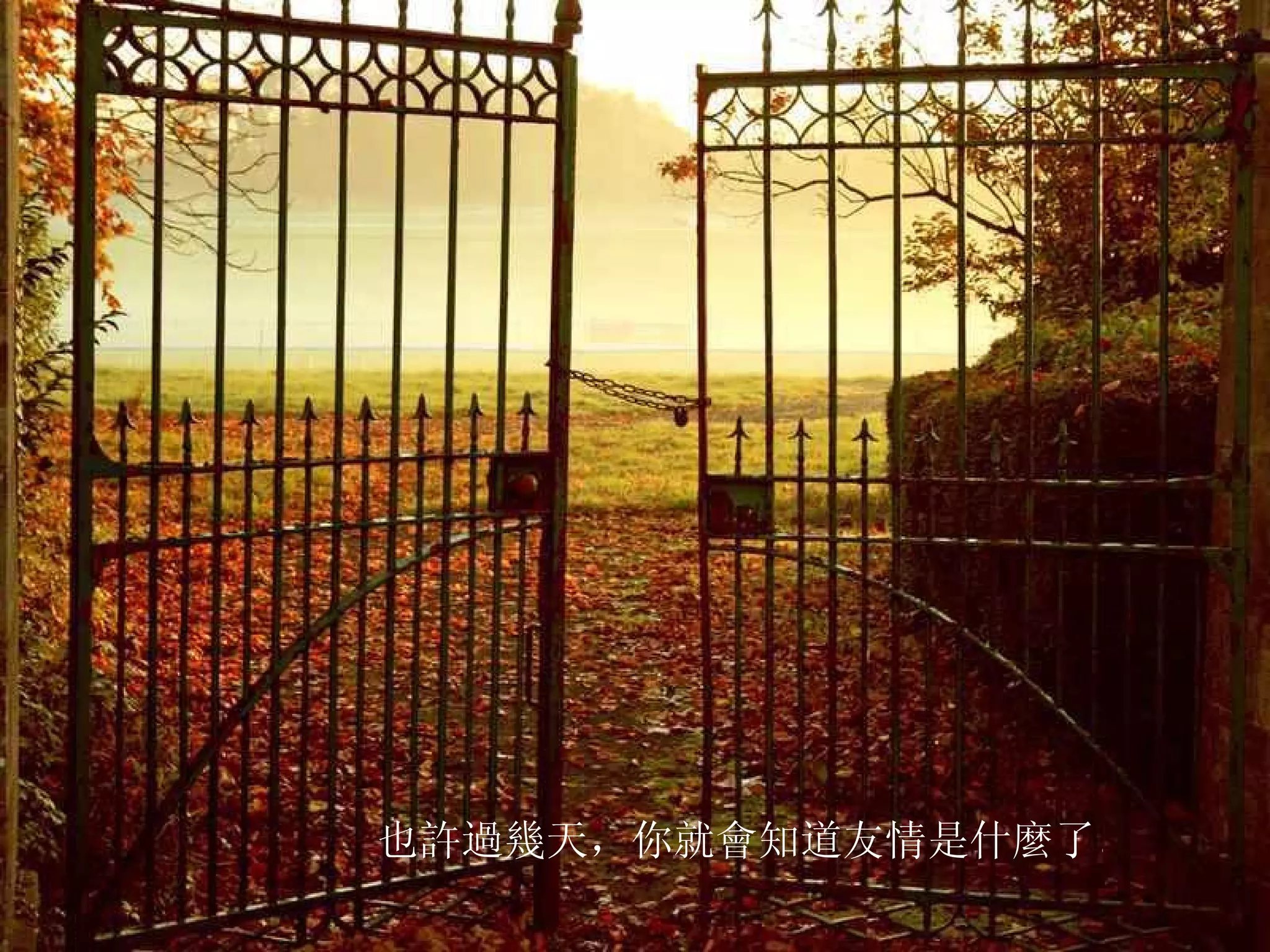        也許過幾天，你就會知道友情是什麼了。  