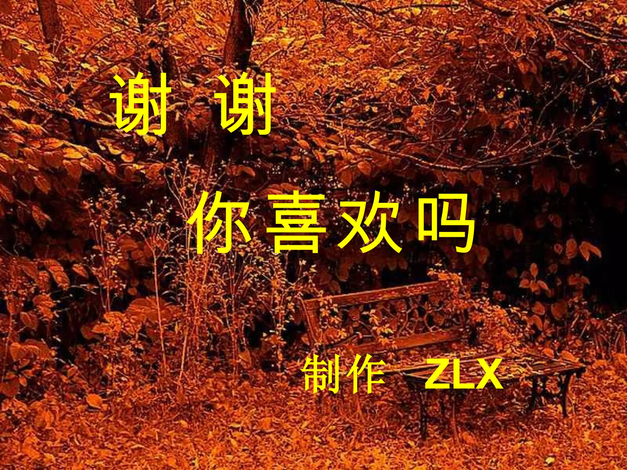 谢 谢 你喜欢吗 制作  ZLX 