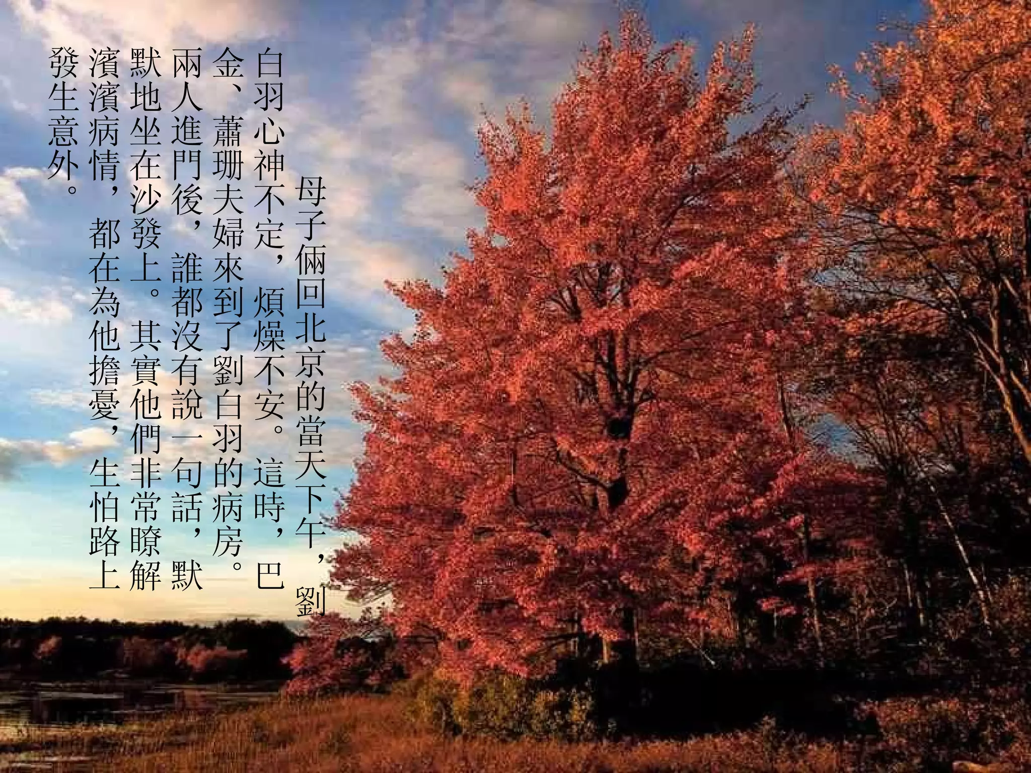         母子倆回北京的當天下午，劉白羽心神不定，煩燥不安。這時，巴金、蕭珊夫婦來到了劉白羽的病房。兩人進門後，誰都沒有說一句話，默默地坐在沙發上。其實他們非常瞭解濱濱病情，都在為他擔憂，生怕路上發生意外。  