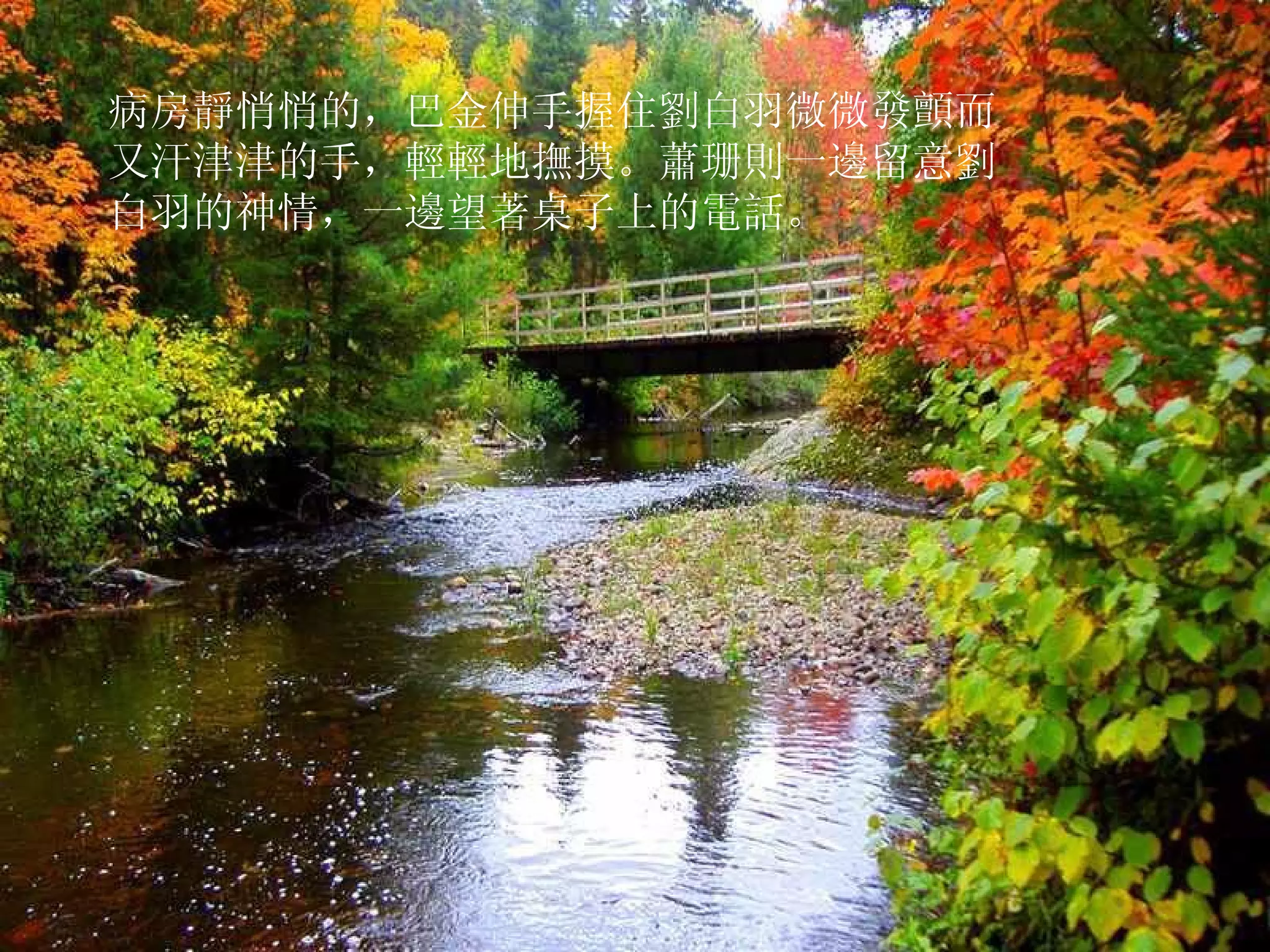 病房靜悄悄的，巴金伸手握住劉白羽微微發顫而又汗津津的手，輕輕地撫摸。蕭珊則一邊留意劉白羽的神情，一邊望著桌子上的電話。  