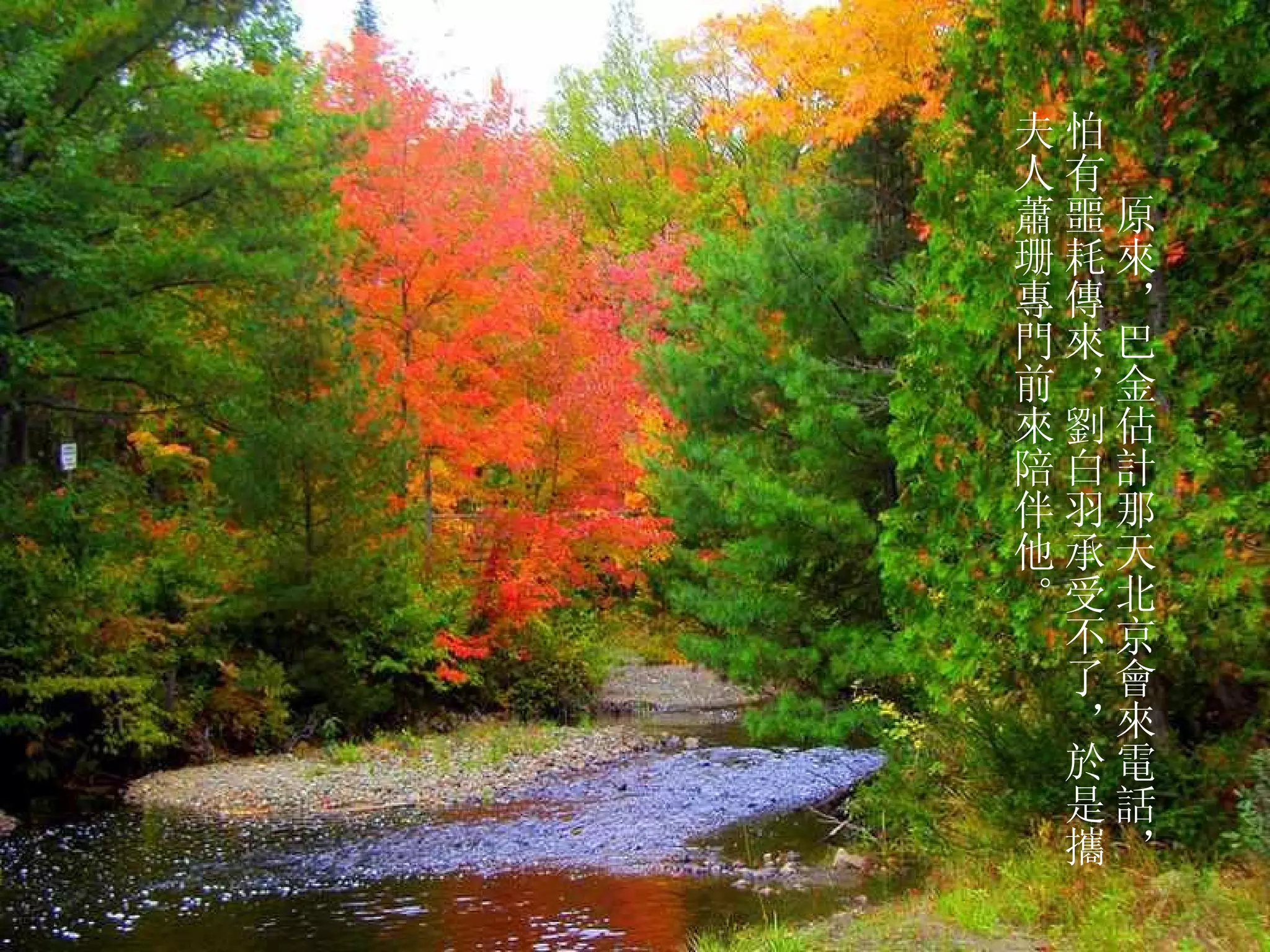 　　原來，巴金估計那天北京會來電話，怕有噩耗傳來，劉白羽承受不了，於是攜夫人蕭珊專門前來陪伴他。  