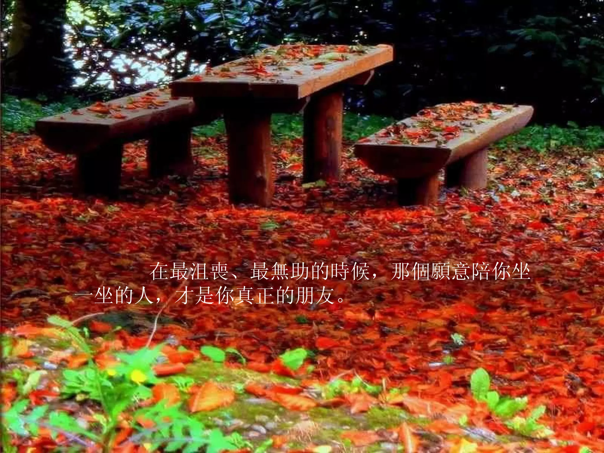         在最沮喪、最無助的時候，那個願意陪你坐一坐的人，才是你真正的朋友。  