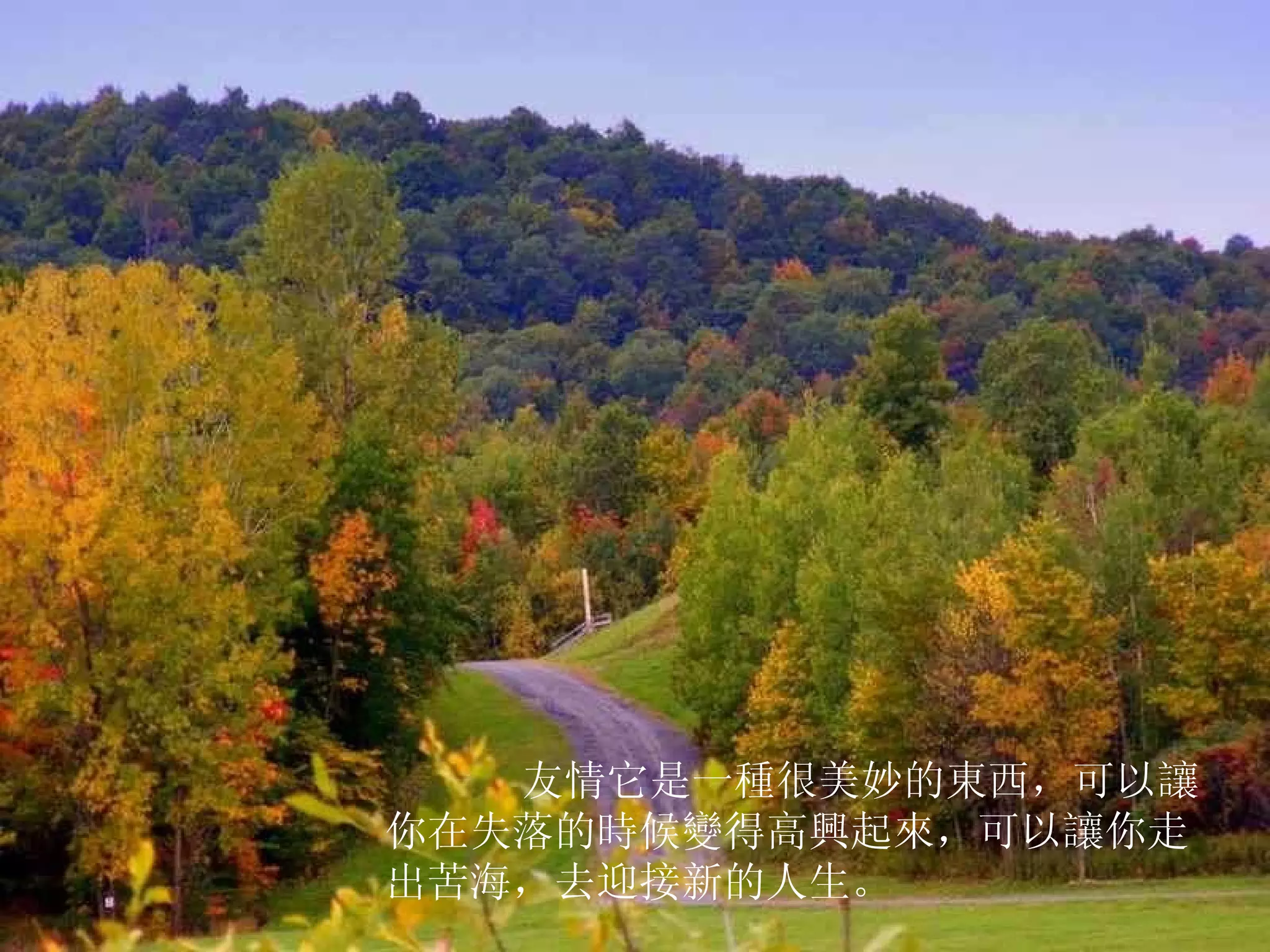        友情它是一種很美妙的東西，可以讓你在失落的時候變得高興起來，可以讓你走出苦海，去迎接新的人生。 